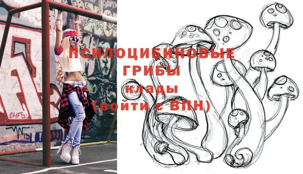 а пвп мука Верея