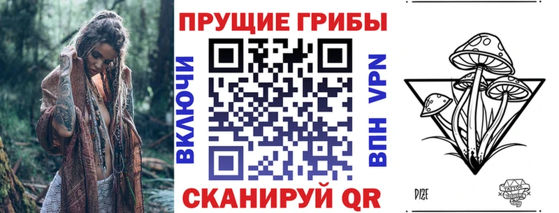 Псилоцибиновые грибы MAGIC MUSHROOMS дарк нет наркотические препараты Новоуральск
